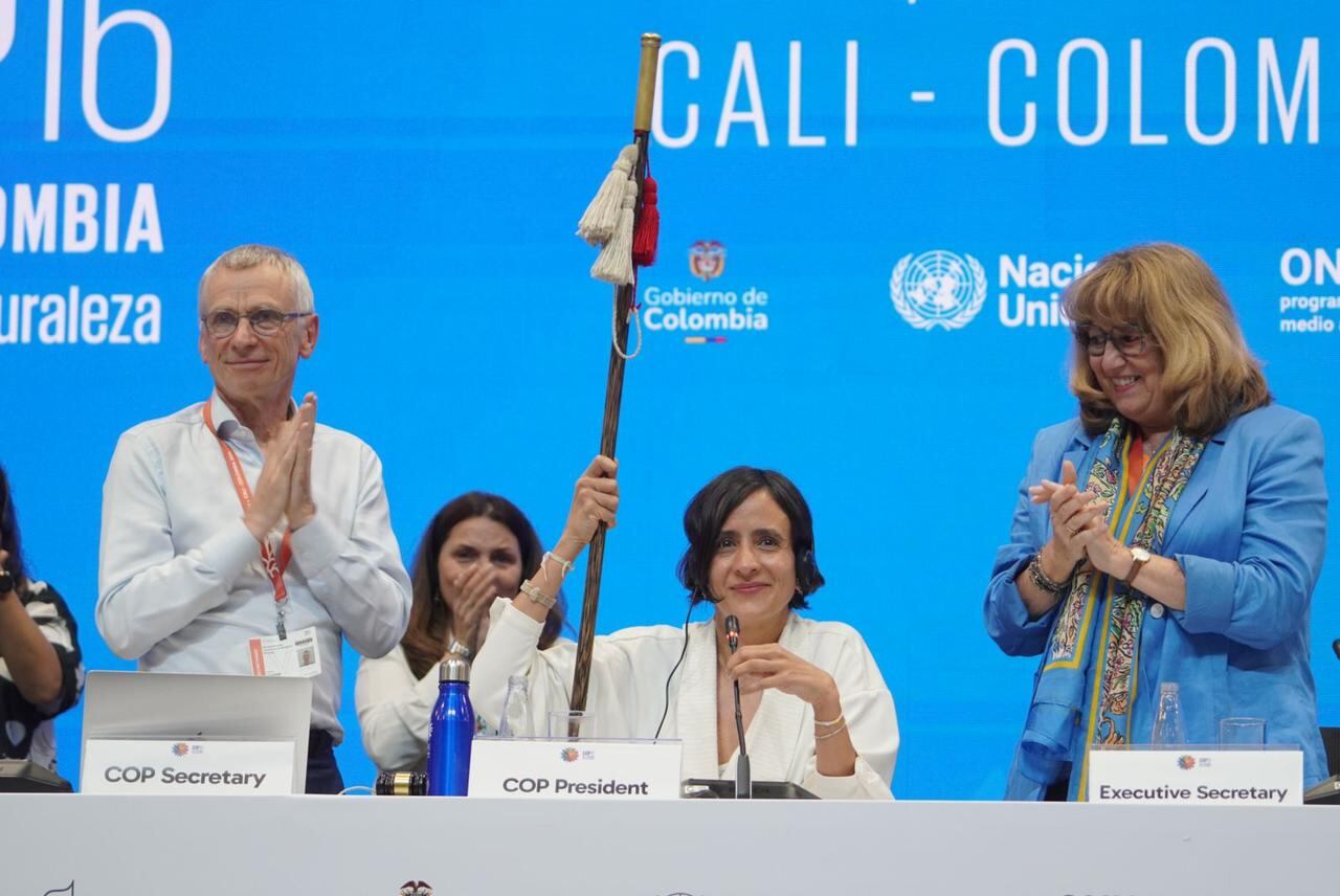 Aprueban órgano subsidiario para pueblos indígenas y comunidades locales en la COP16