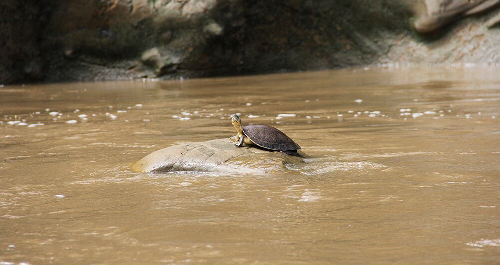 La cuenca del río Bogotá aporta el 32 por ciento del PIB nacional.