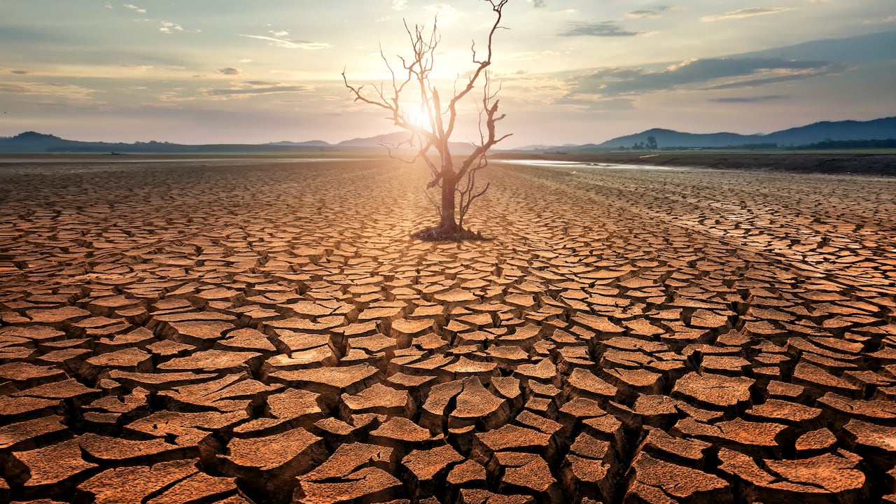 Calentamiento global