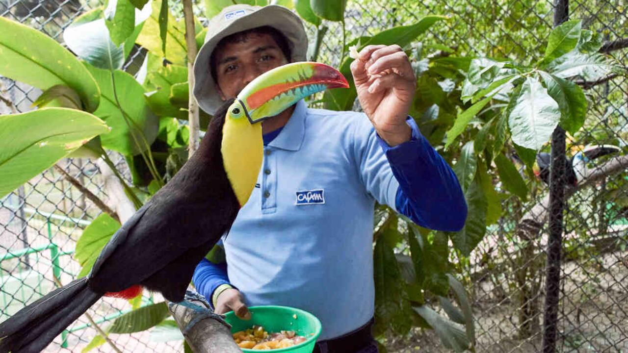 Cuidadores de animales en el zoológico de Cafam en Melgar. Foto: Centro de Vacaciones de Cafam en Melgar.