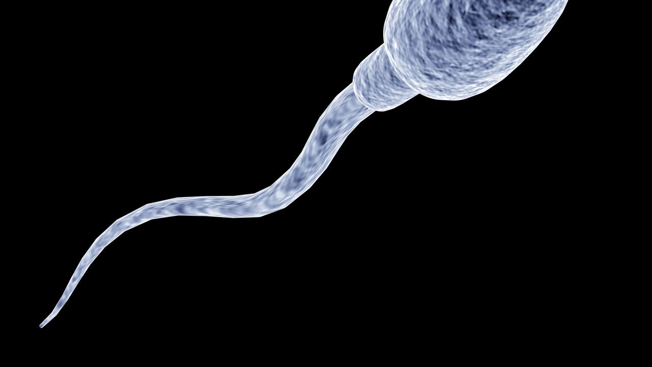 Son varios alimentos que pueden afectar la calidad del esperma. -Foto: Getty Images.