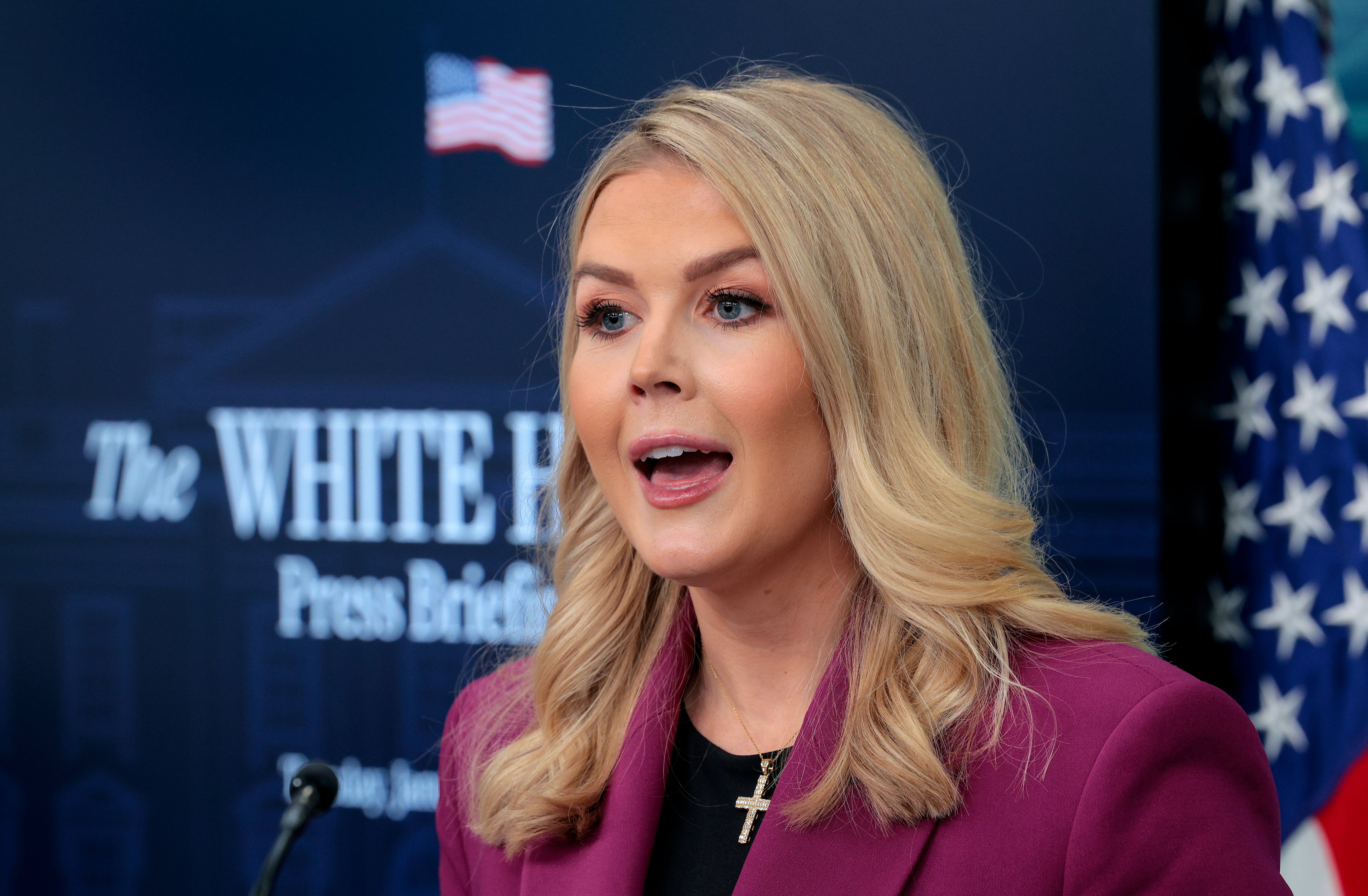 La funcionaria habló nuevamente de lo que pasó con el Gobierno Petro.