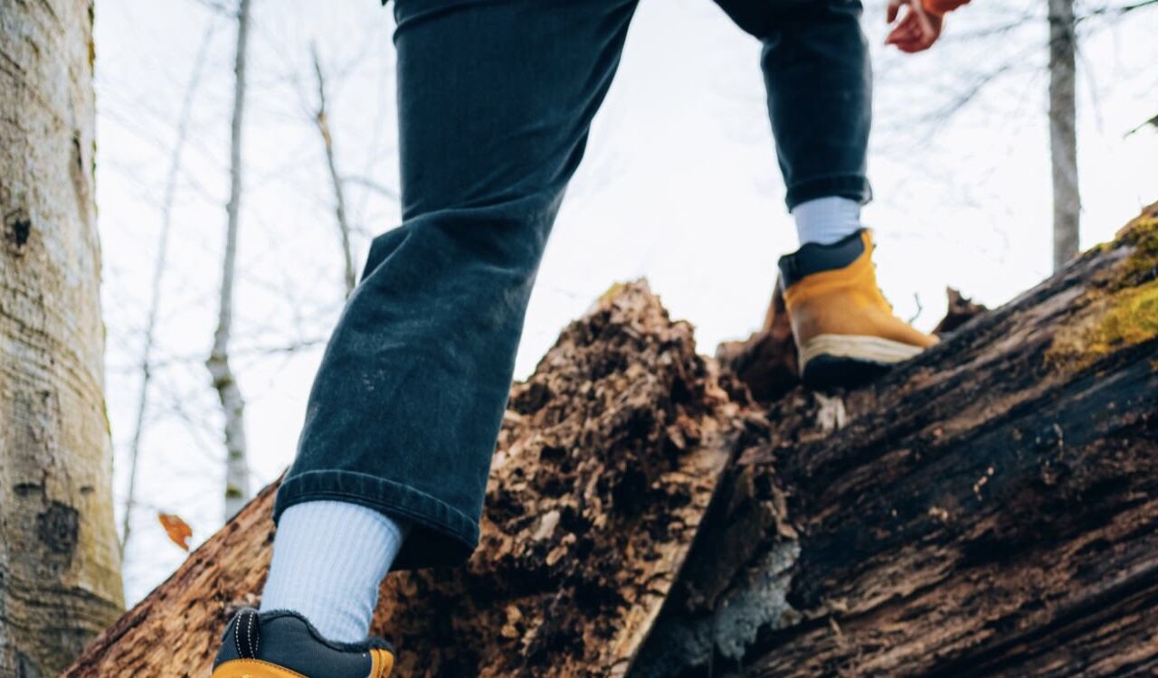 Hacer una caminata ayuda favorablemente a la salud