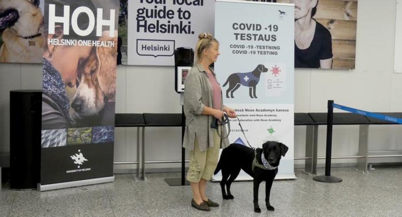Perros rastreadores de COVID-19 DW NO USAR