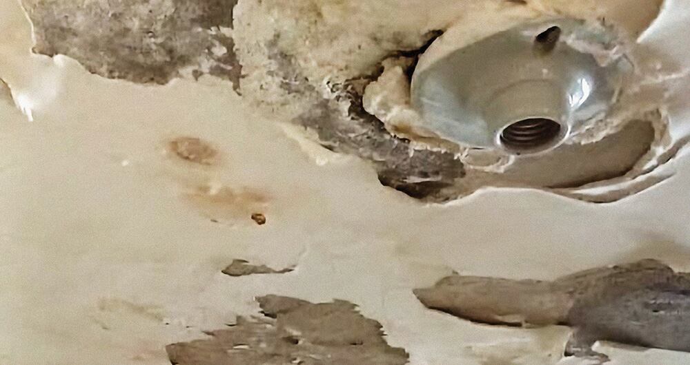 Supernotariado se cae a pedazos_6