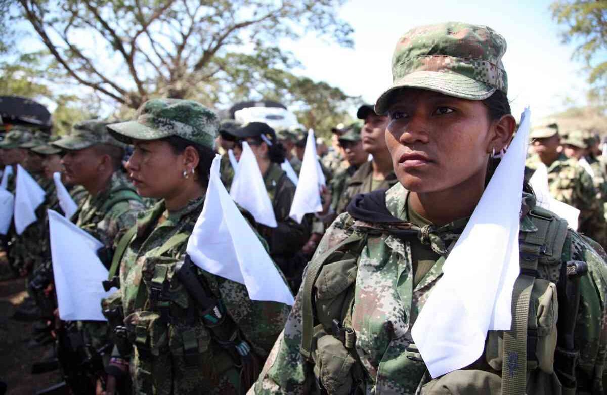 Campamento de las Farc en Pondores, Guajira, el 1 de febrero de 2017. Foto: León Darío Peláez