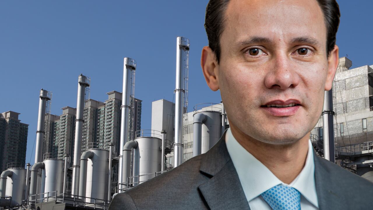 Alejandro Castañeda, director ejecutivo de Andeg.