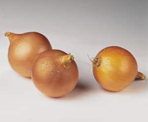 La cebolla es muy saludable.