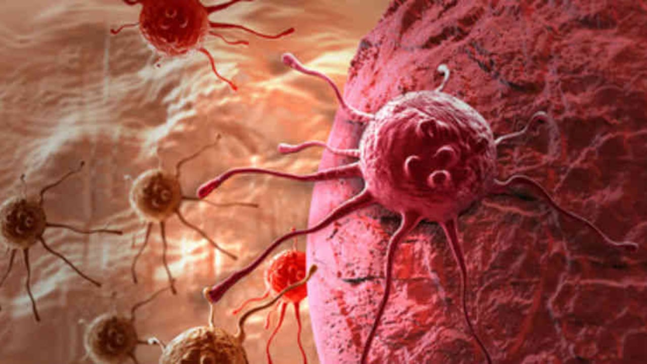 Al parecer los científicos han identificado una proteína crucial para que las células puedan hacer metástasis, se trata de la CD36.