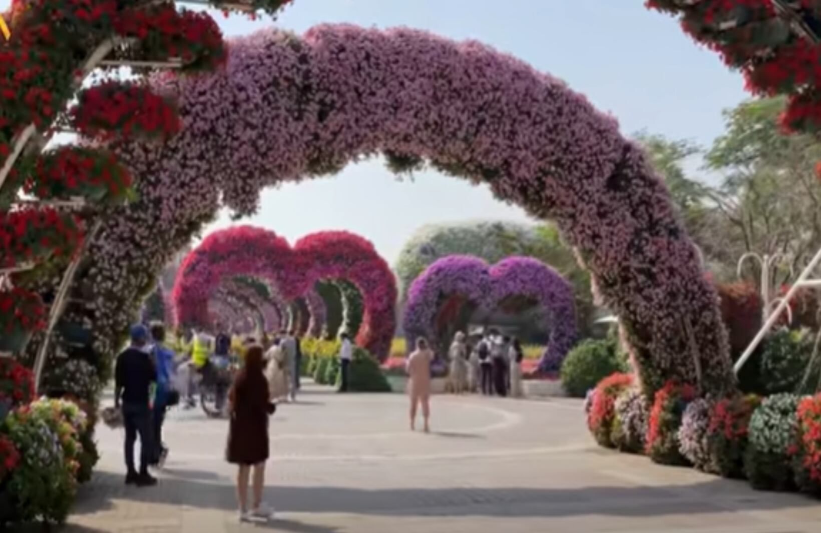 Dubai Miracle Garden.  El jardín más grande del mundo