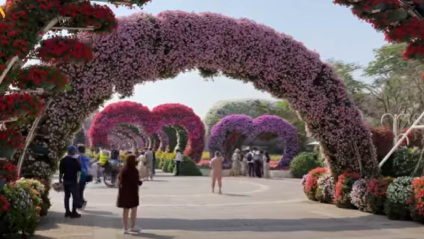 Dubai Miracle Garden.  El jardín más grande del mundo