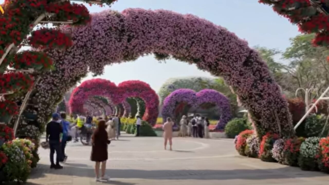 Dubai Miracle Garden. El jardín más grande del mundo