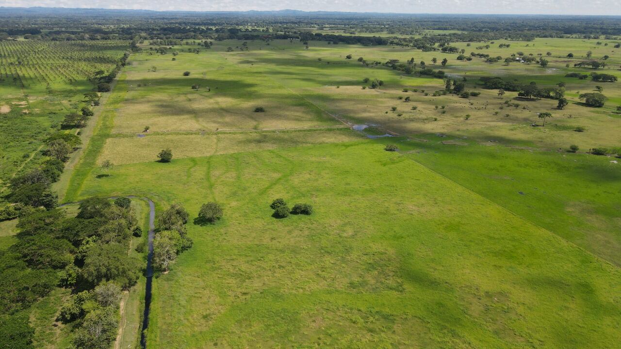 De acuerdo con el estado de cuenta emitido por la Alcaldía Municipal de Montería, los tres bienes presentan un avalúo catastral equivalente a $5.895.932.000 y presentan una deuda por concepto de impuesto predial por $365.764.000.