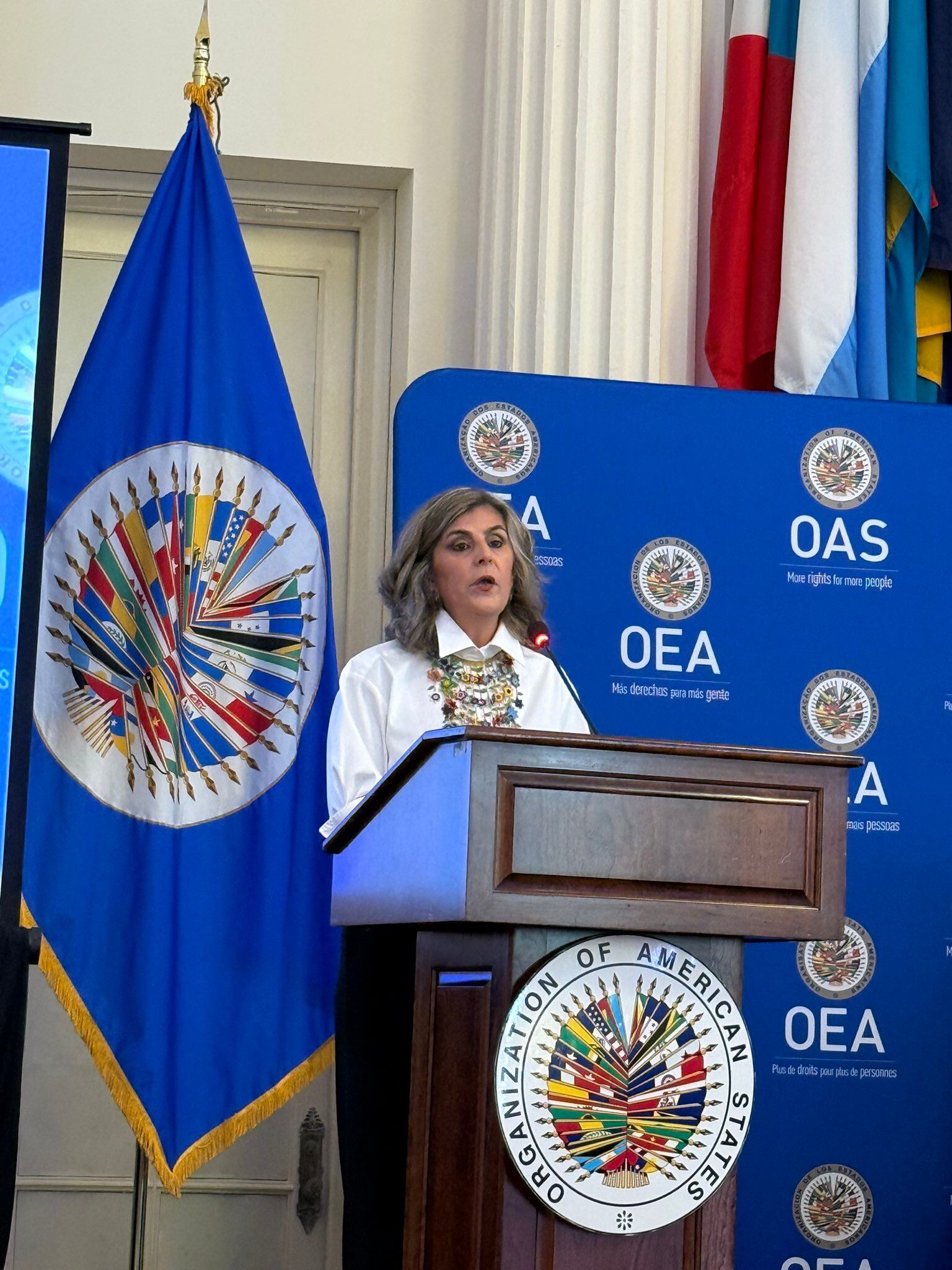 Laura Gil, secretaria general adjunta de la OEA.