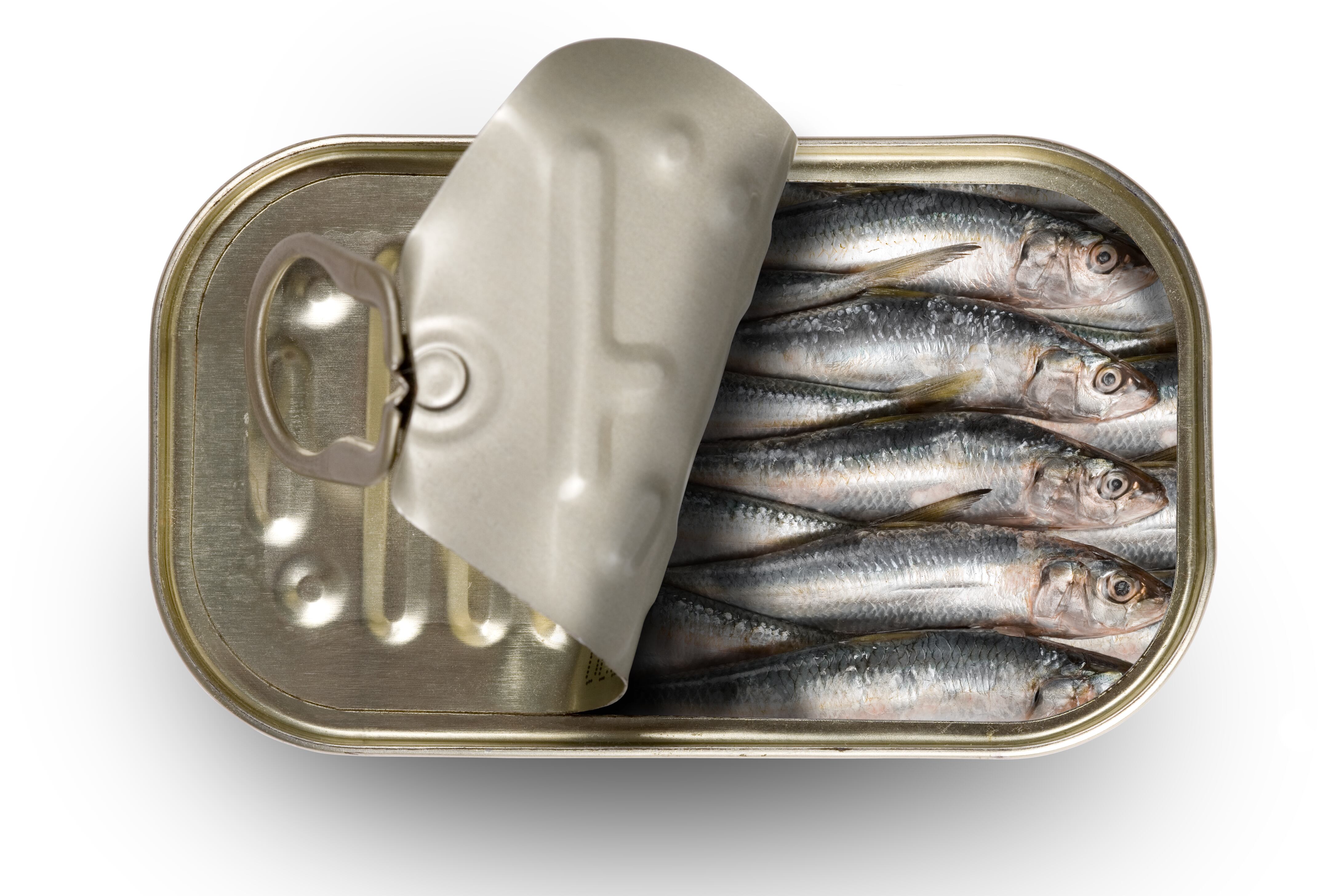 Sardinas