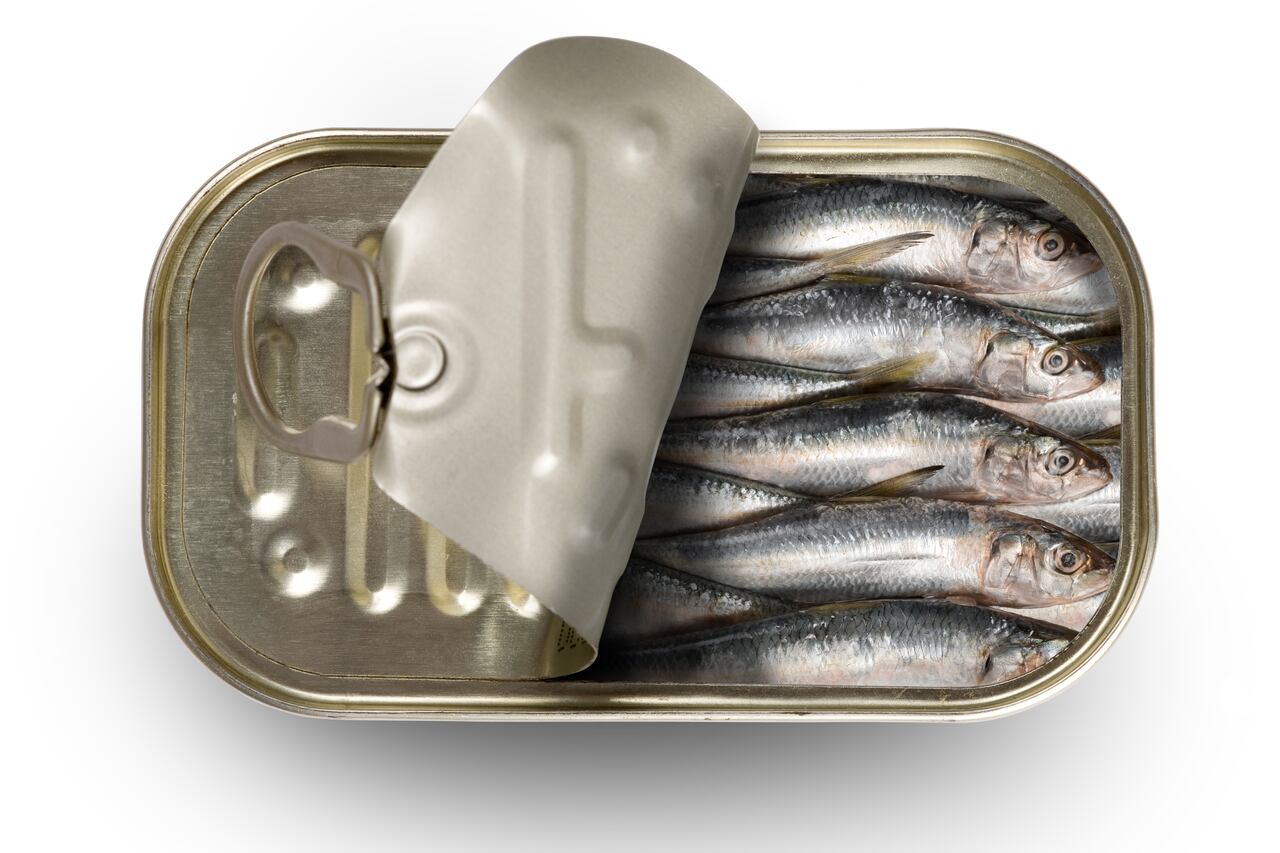 Sardinas