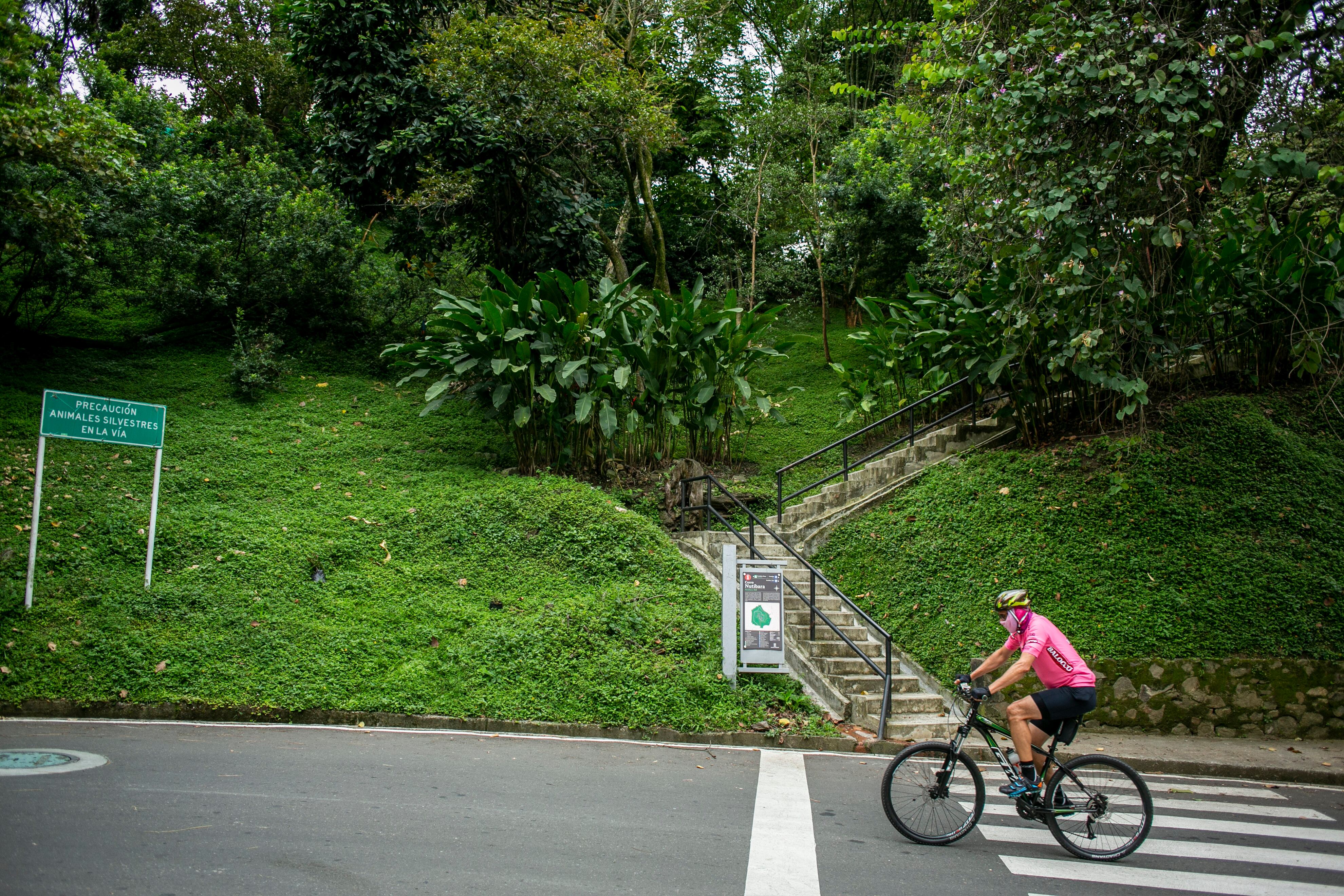 Preservar su biodiversidad es uno de los grandes desafíos del Área Metropolitana del Valle de Aburrá.
