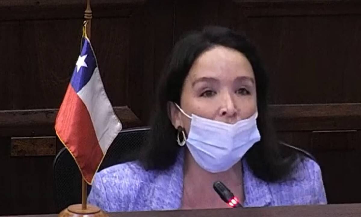 Rocío Cantuarias, señala algunos de los vicios de la nueva Constitución chilena.