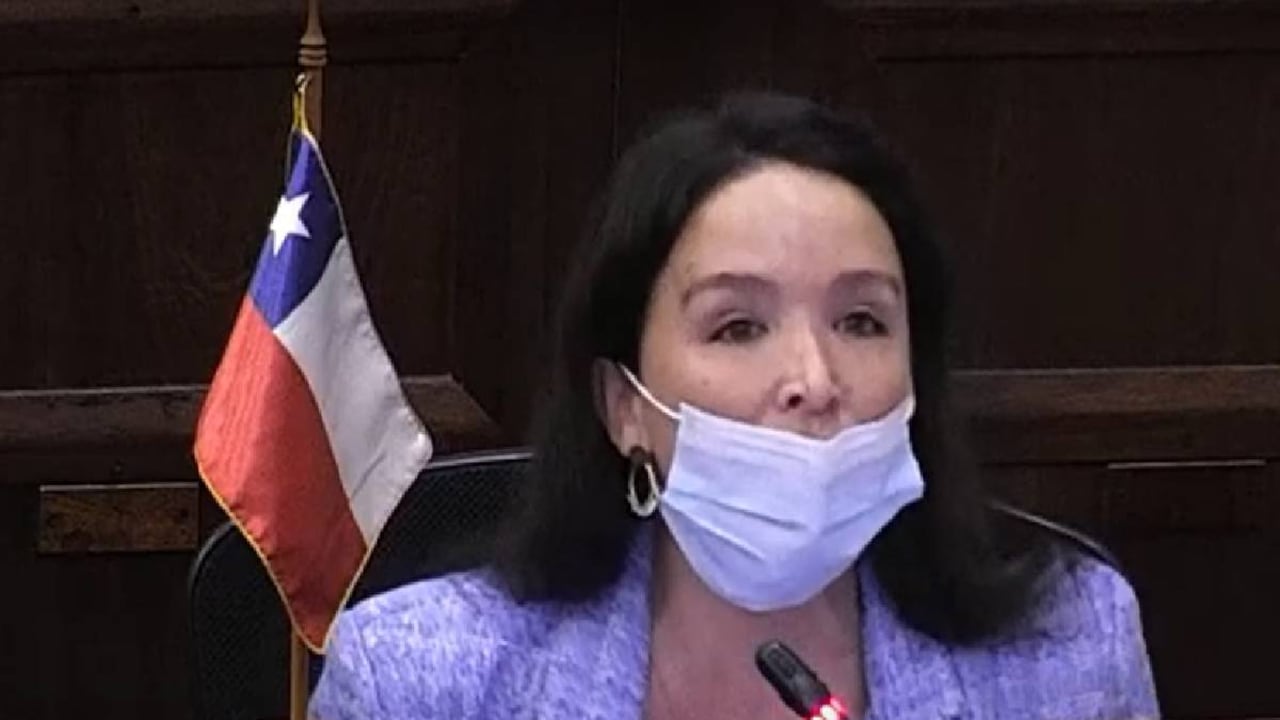 Rocío Cantuarias señala algunos de los presuntos vicios de la nueva Constitución chilena.