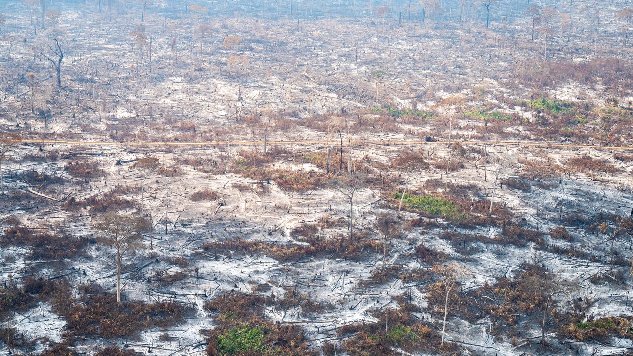 Ya son más de 15 mil las hectáreas afectadas por los incendios