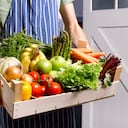 Los alimentos orgánicos son producidos bajo estrictos procesos ecológicos.