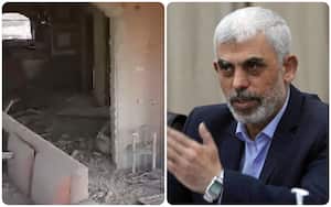 El ejército israelí difundió en las últimas horas un video filmado por un dron que muestra al jefe de Hamás, Yahya Sinwar, justo antes de ser eliminado en un operativo militar en Gaza.