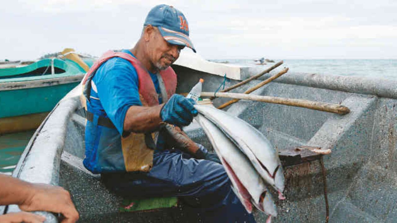 Un estudio del INS concluyó que especies como bagre, mojarra y doncella, en zonas mineras, son las de mayor contaminación.