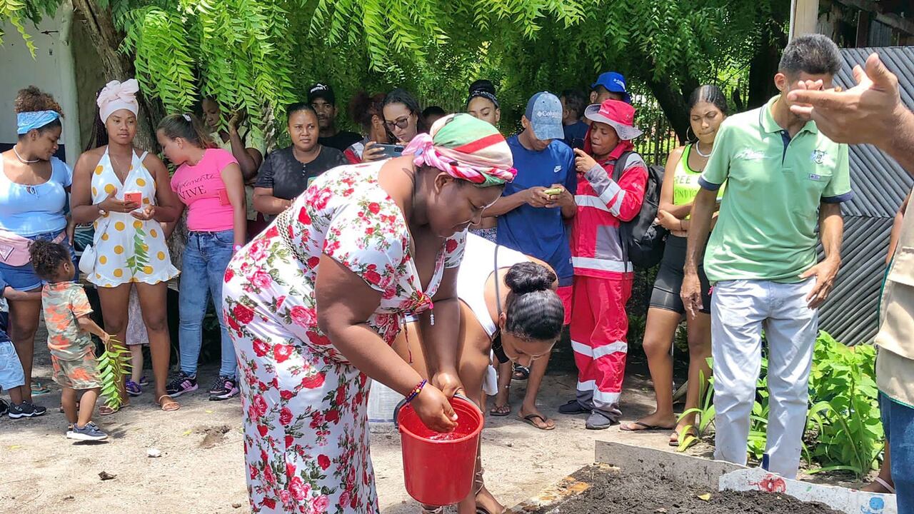 Patios Productivos - Cartagena