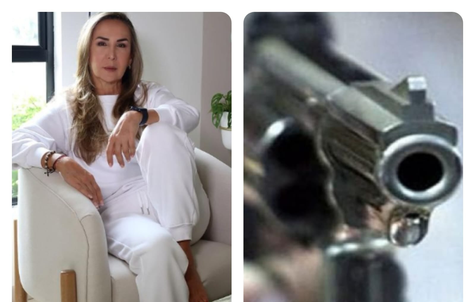 Luz Mery Tristán habría sido asesinada a manos de su pareja sentimental en Cali; el hombre fue reducido y capturado.