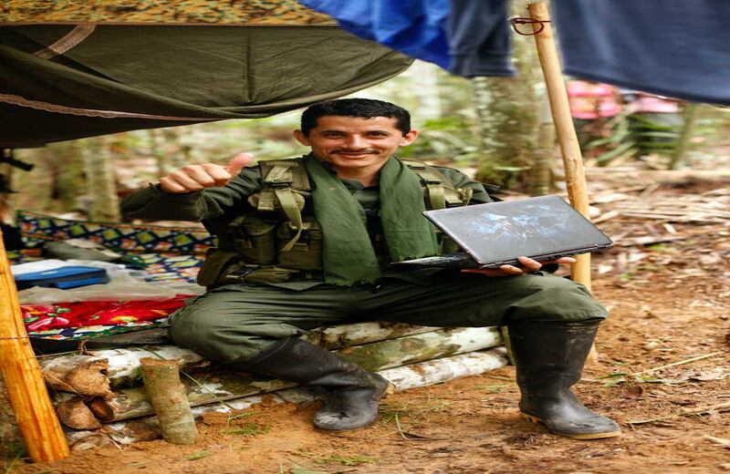 Luis David Celis aprendió inglés gracias a Alexandra Nariño o Tanja, la guerrillera holandesa. Se considera un traductor simultáneo aunque reconoce que ha perdido algo de habilidad en el idioma por falta de práctica. 