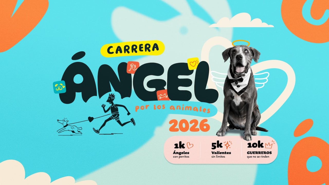 Carrera Ángel por los Animales: ¿Hasta cuándo son las inscripciones?