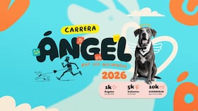 Carrera Ángel por los Animales: ¿Hasta cuándo son las inscripciones?