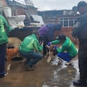 rescate de animales en Bogotá