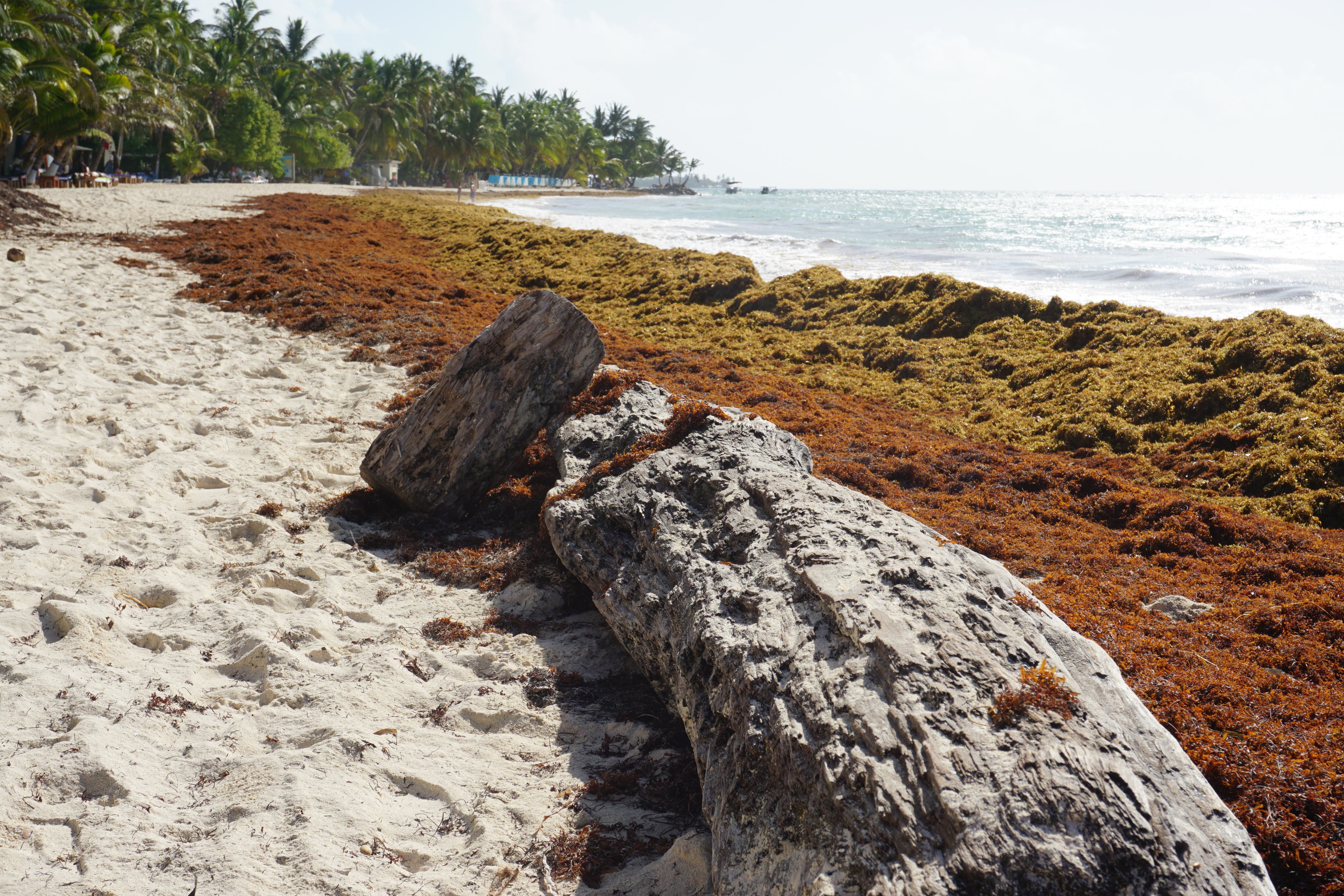 Está delimitado por corrientes oceánicas del Giro del Atlántico Norte.