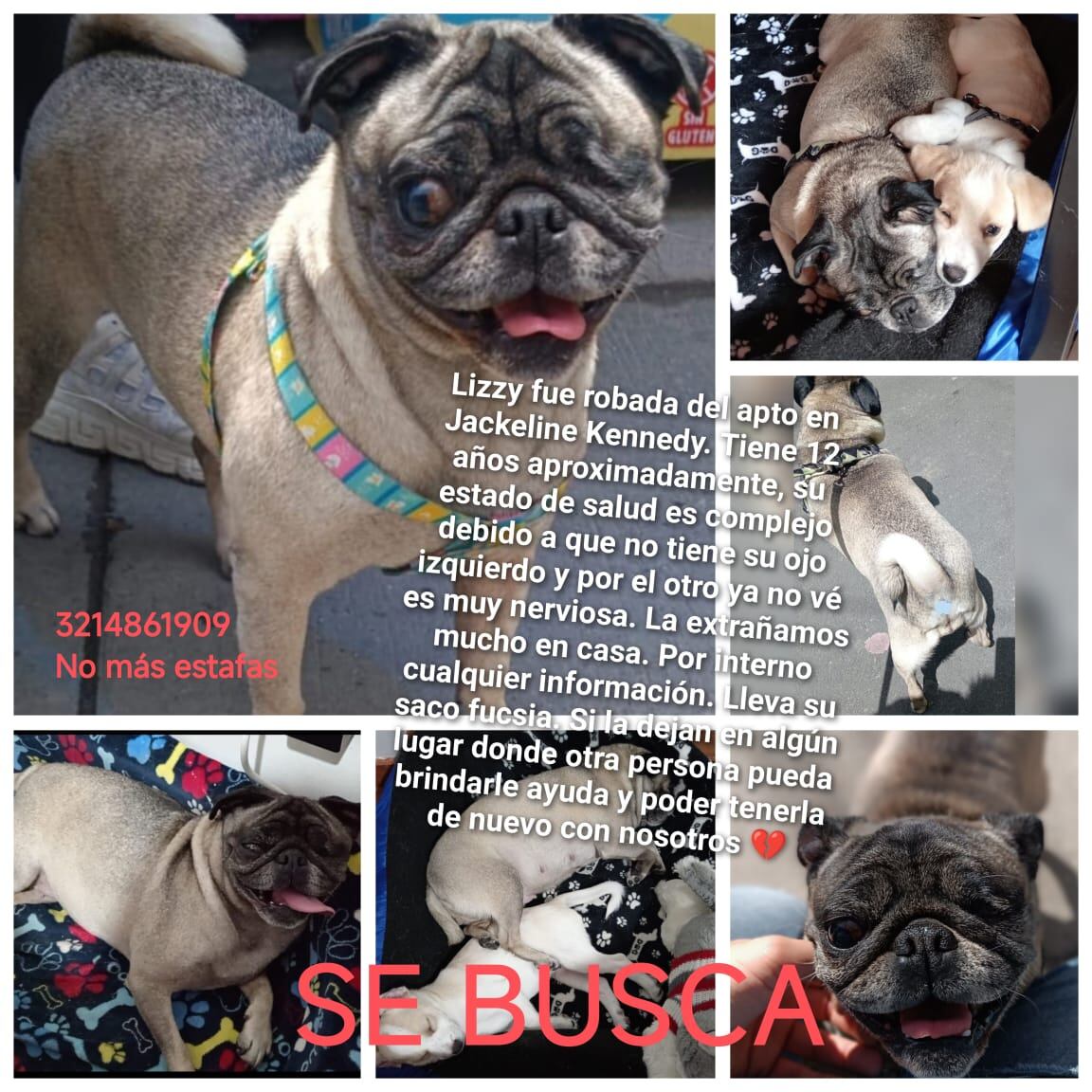 Lizzy requiere cuidados especiales debido a su delicado estado de salud.