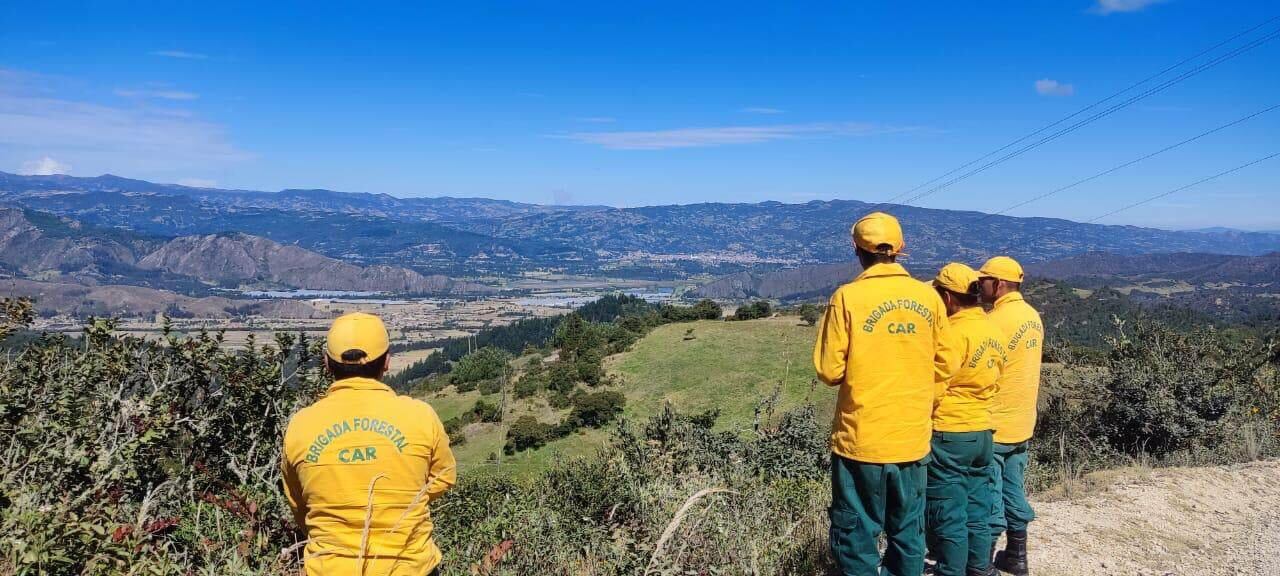 La entidad hace un llamado de responsabilidad y prevención. Pide reportar cualquier eventualidad a las autoridades.