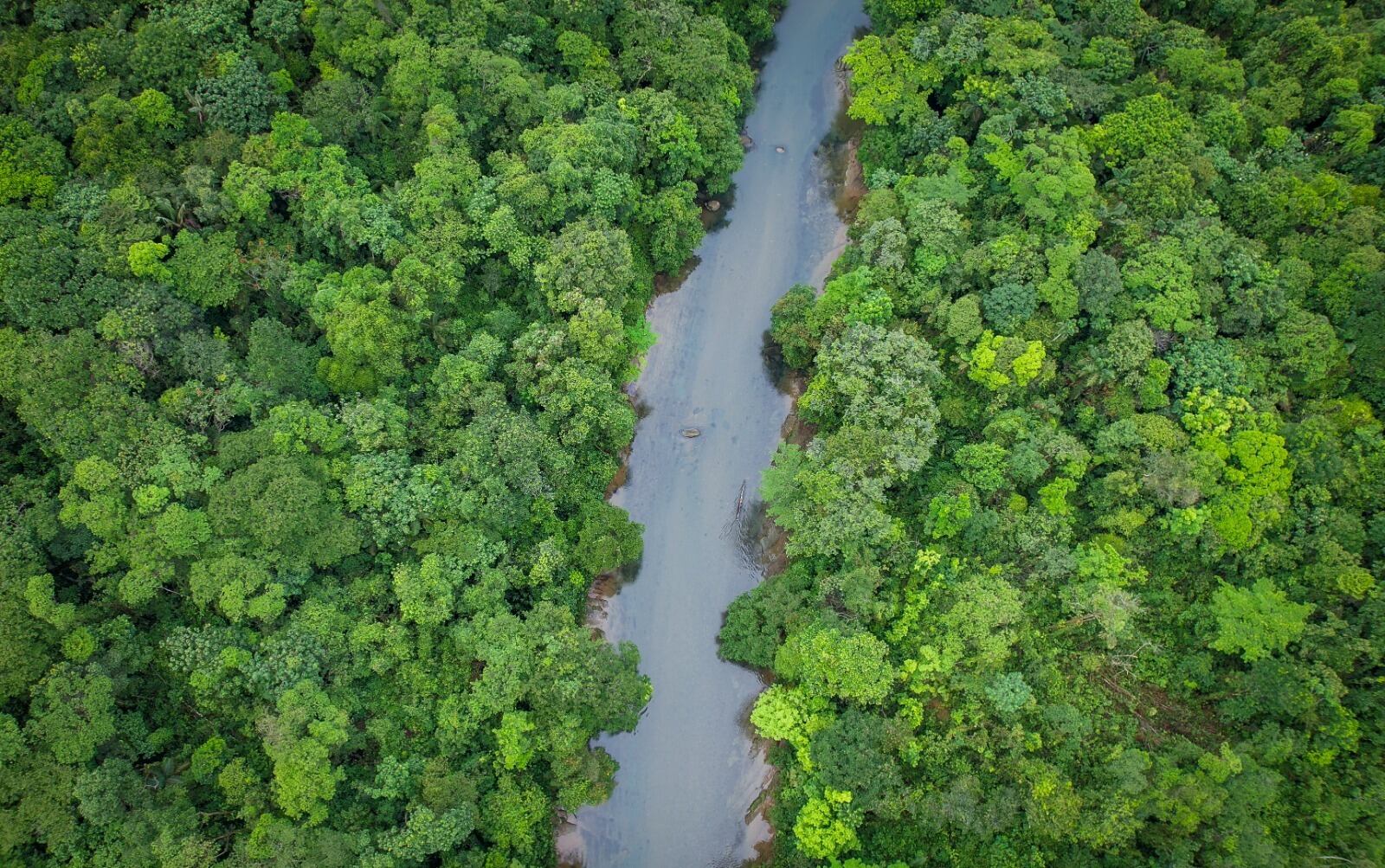 La gestión de las CAR se ejecuta a partir del esfuerzo que a diario realizan más de 5.180 profesionales.