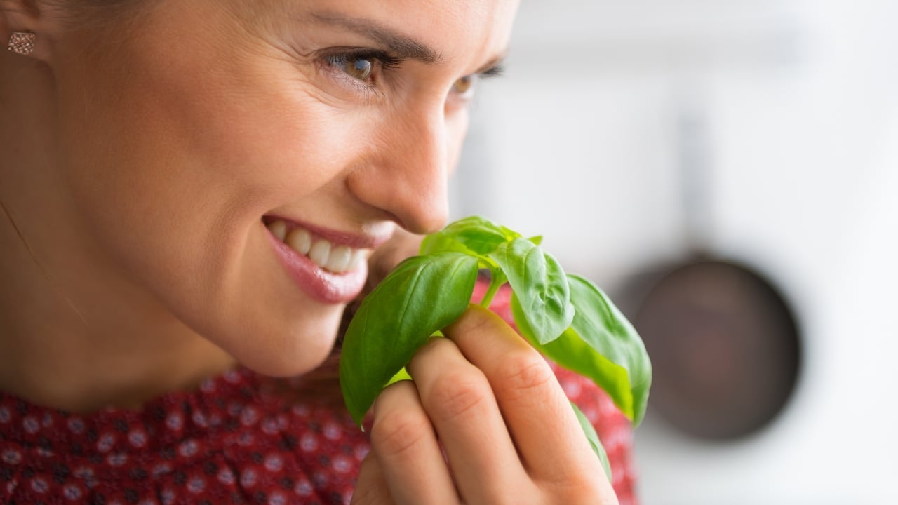 La albahaca: una planta medicinal para depurar el organismo y combatir la retención de líquidos.