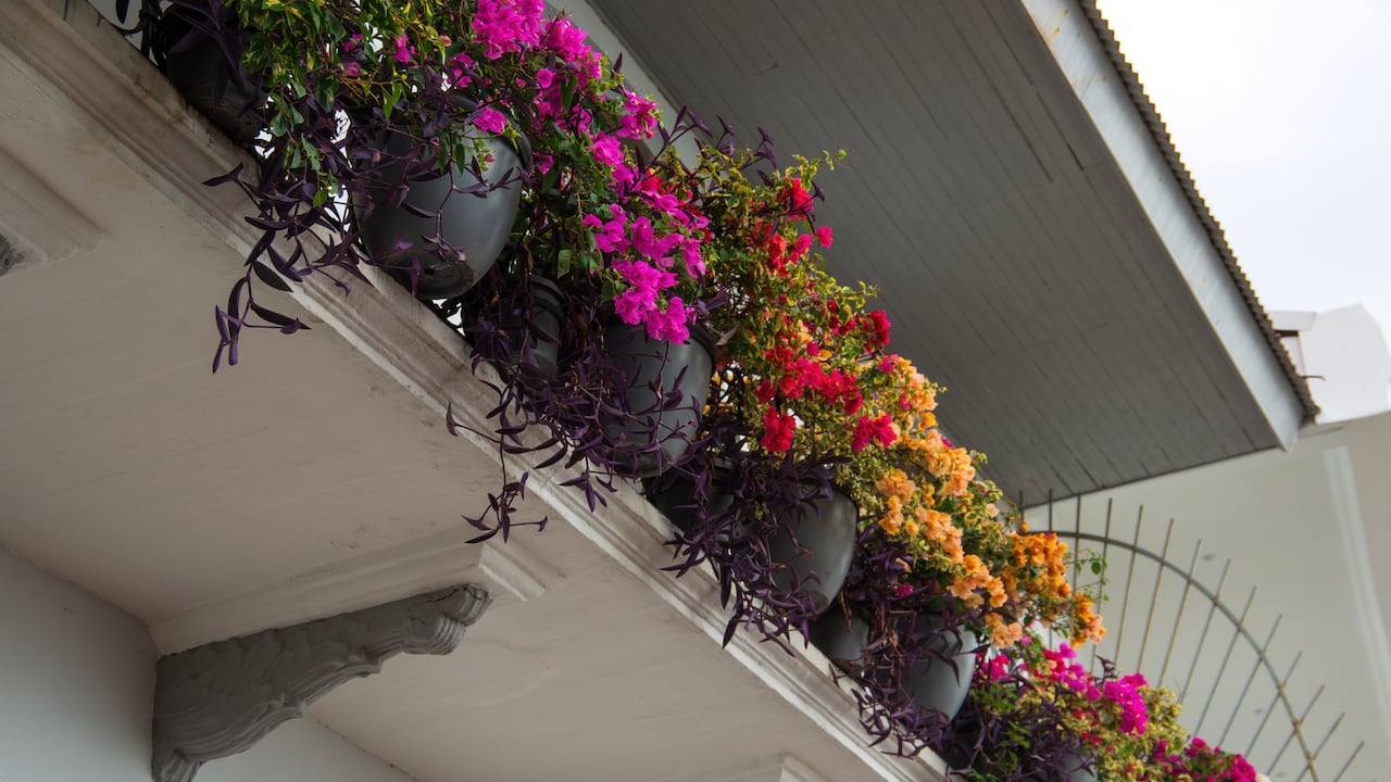 Los balcones con flores son uno de los principales atractivos de Carolina del Príncipe, en Antioquia. (Imagen de referencia).