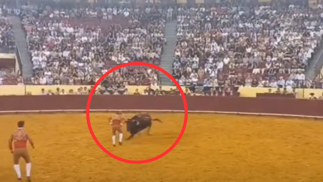 Este fue el momento exacto en el que el joven fue embestido por el toro.