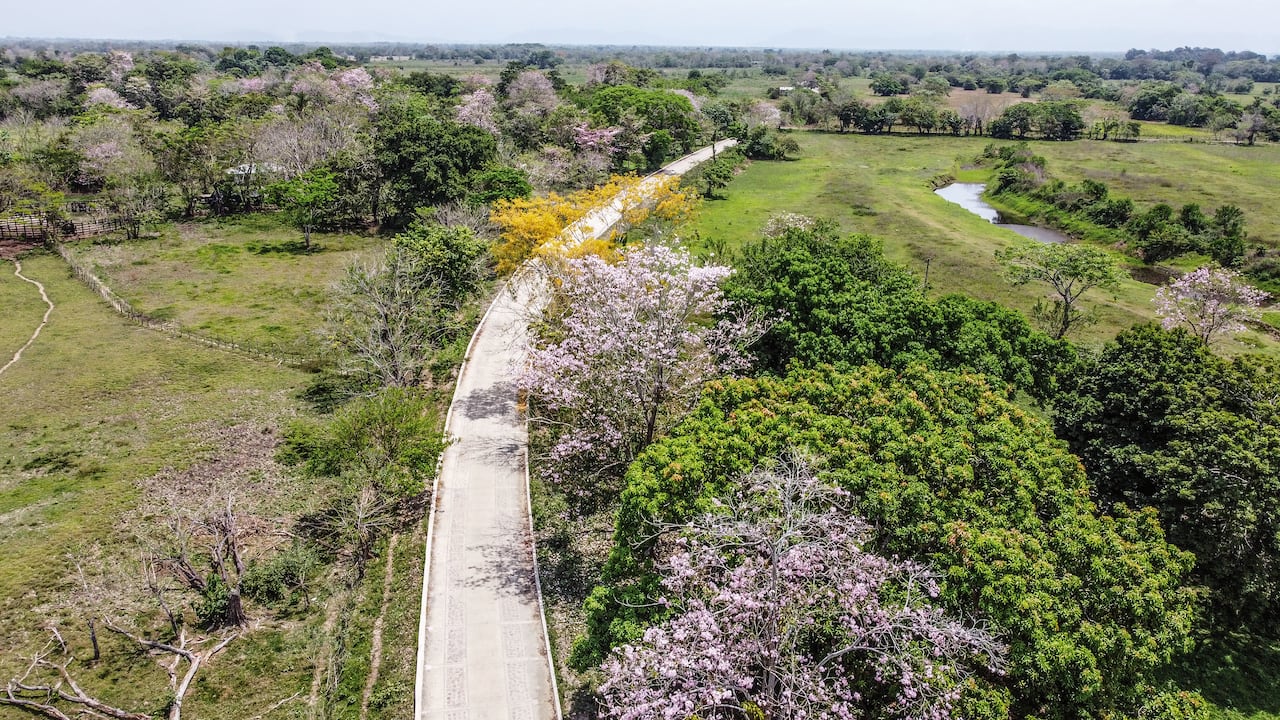 Placa huella. Beneficia principalmente a arroceros de la región de La Mojana, Bolívar.