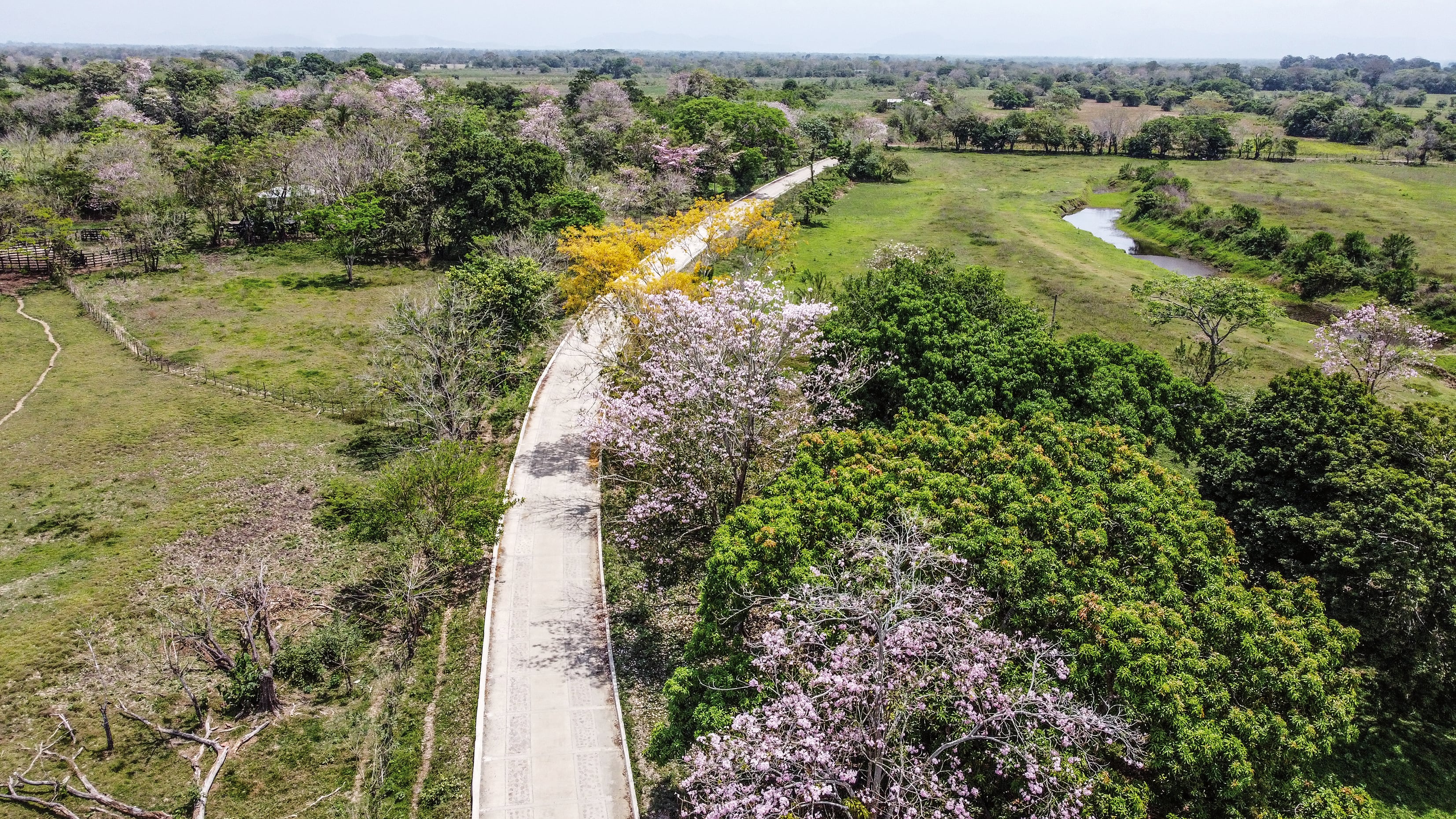 Placa huella. Beneficia principalmente a arroceros de la región de La Mojana, Bolívar.