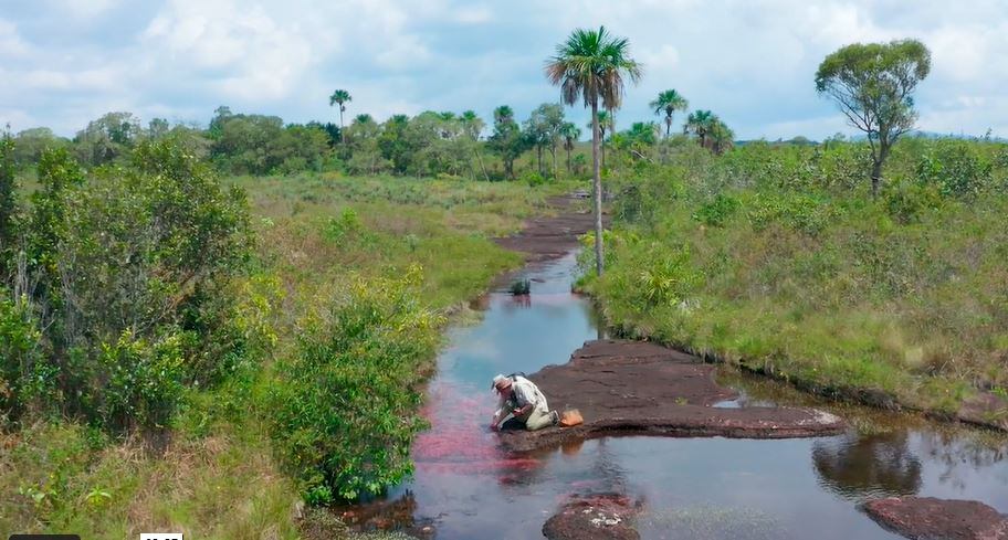 Caño Cristales.