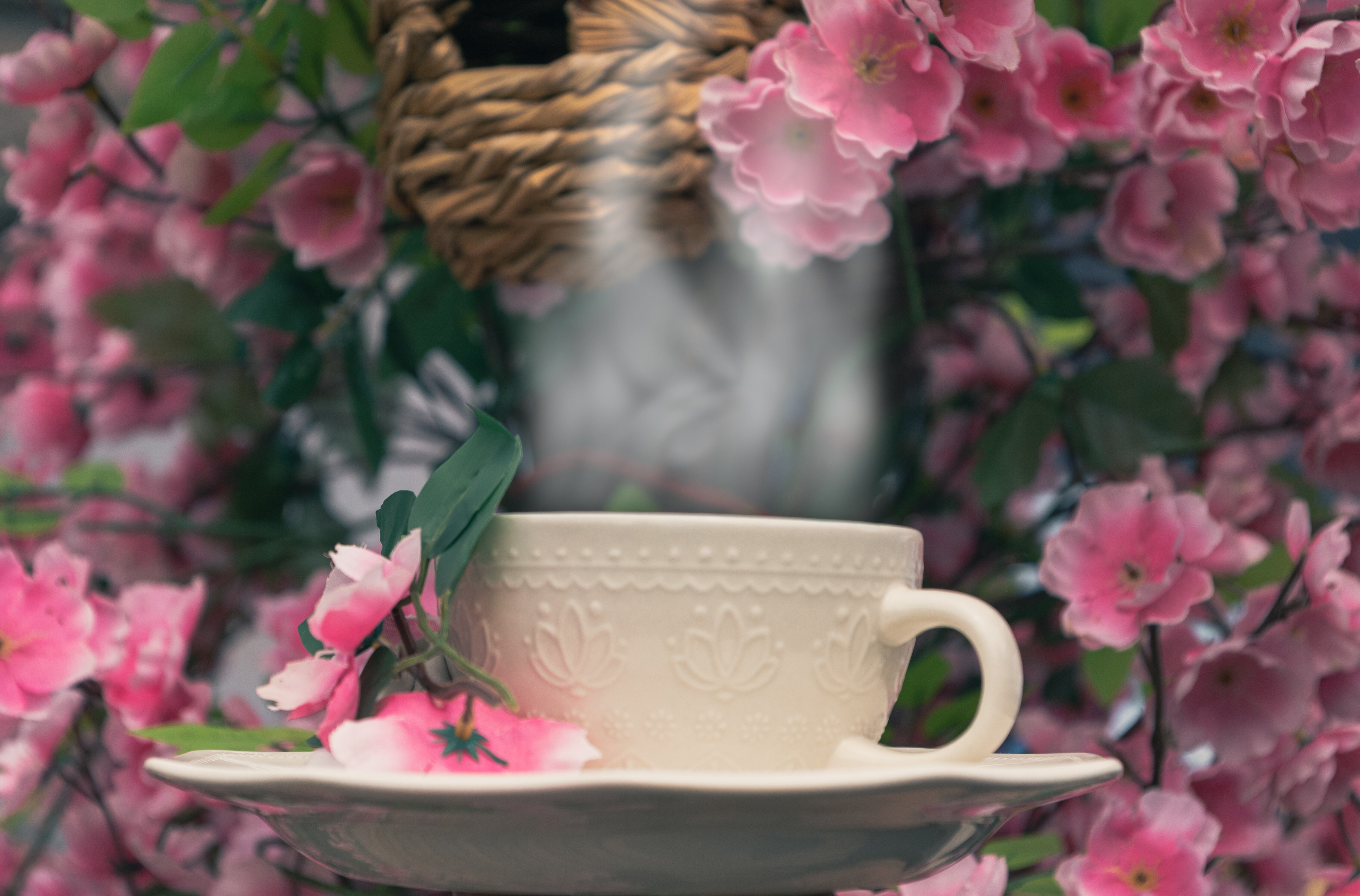 La Ruta de los Cafés en Sopó