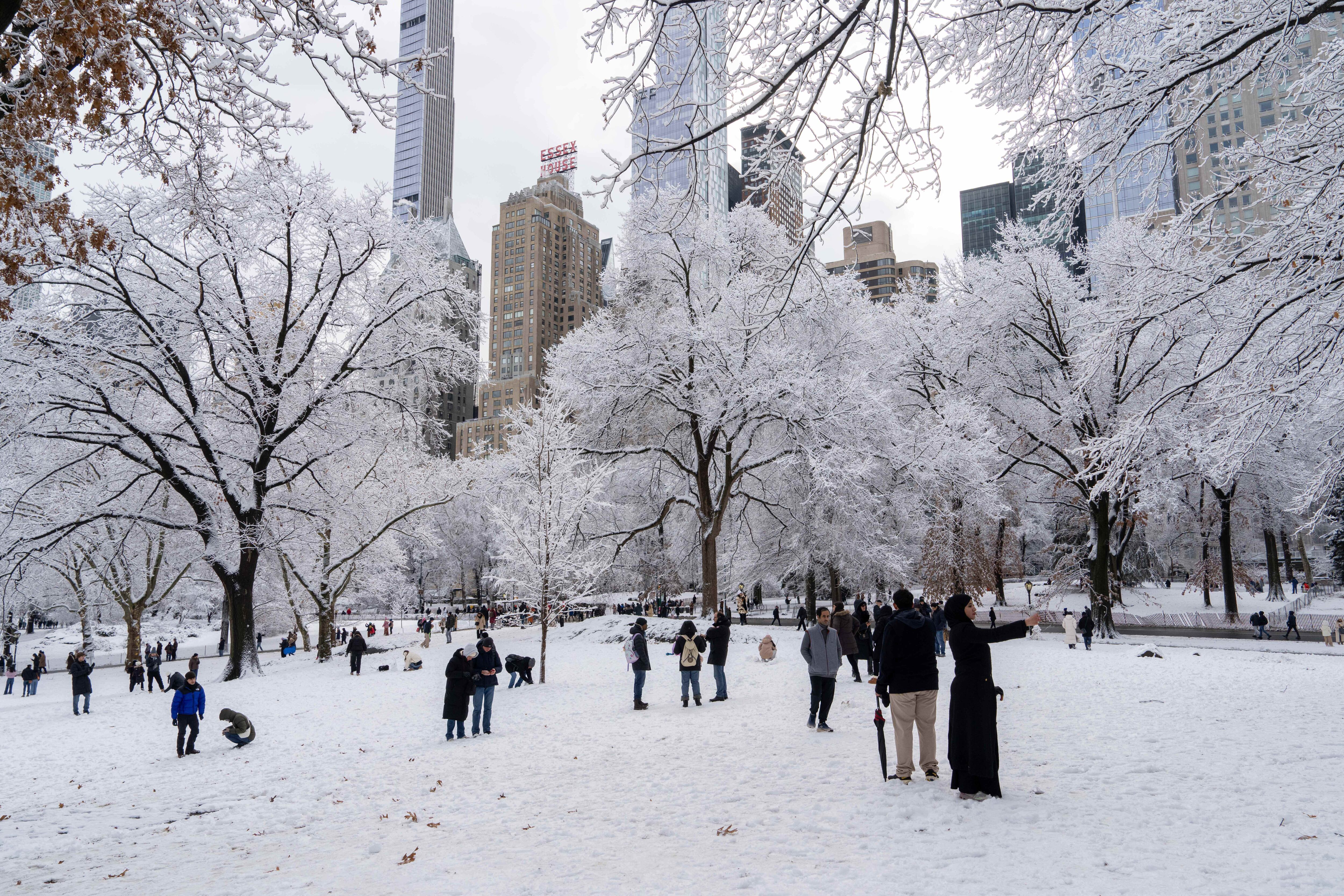 La gente se reúne en Central Park después de la nevada, el domingo 14 de diciembre de 2025, en Nueva York. (Foto AP/Adam Gray)