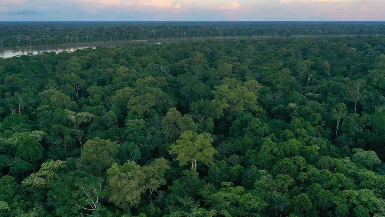 A la deforestación y la minería ilegal se le debe sumar ahora la extracción petrolera como las principales amenazas de la Amazonia. Foto: Rhett Butler/Mongabay Latam.