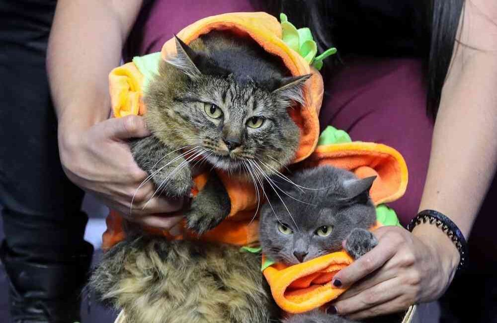 Foto: Carlos Julio Martínez / SEMANA