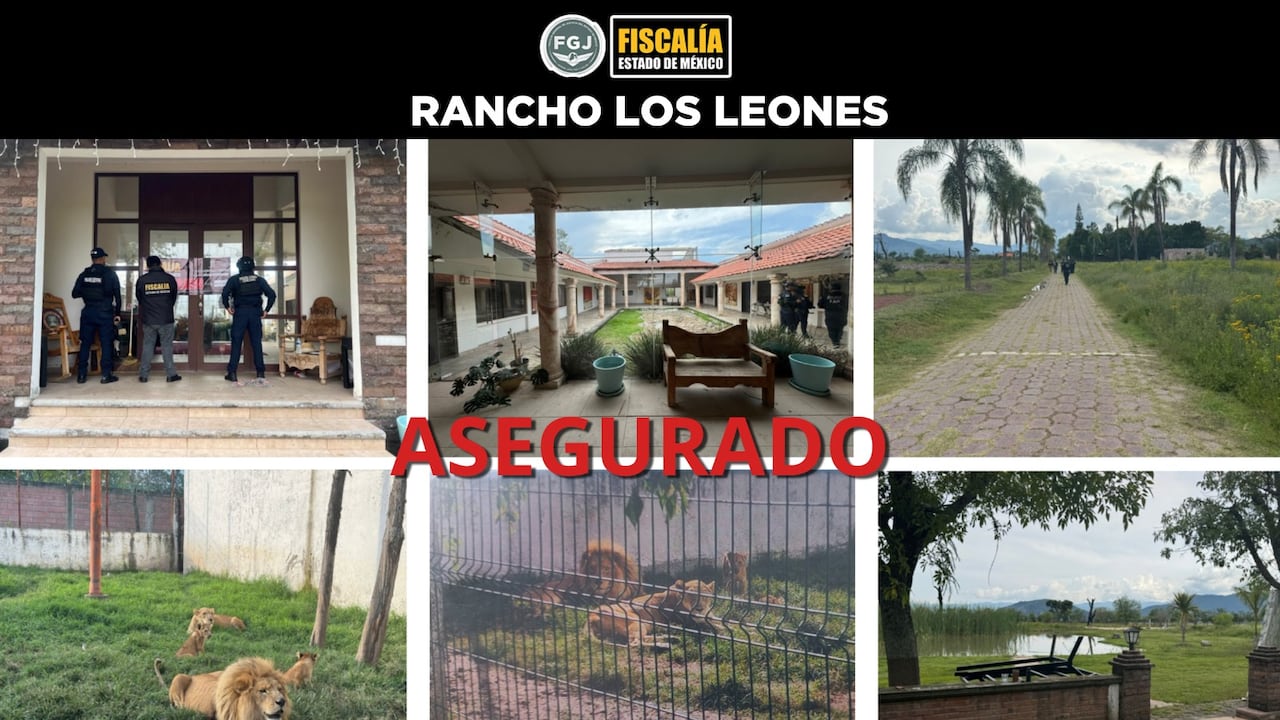 Rancho los Leones, asegurado por las autoridades mexicanas