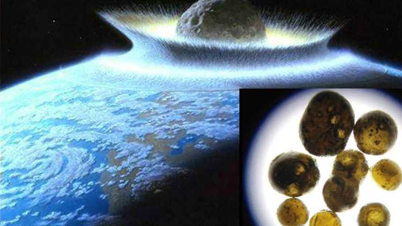 Un meteorito produjo la quinta expansión masiva de los dinosaurios.