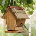 Las aves migratorias a veces no saben dónde conseguir comida para sus largos vuelos.